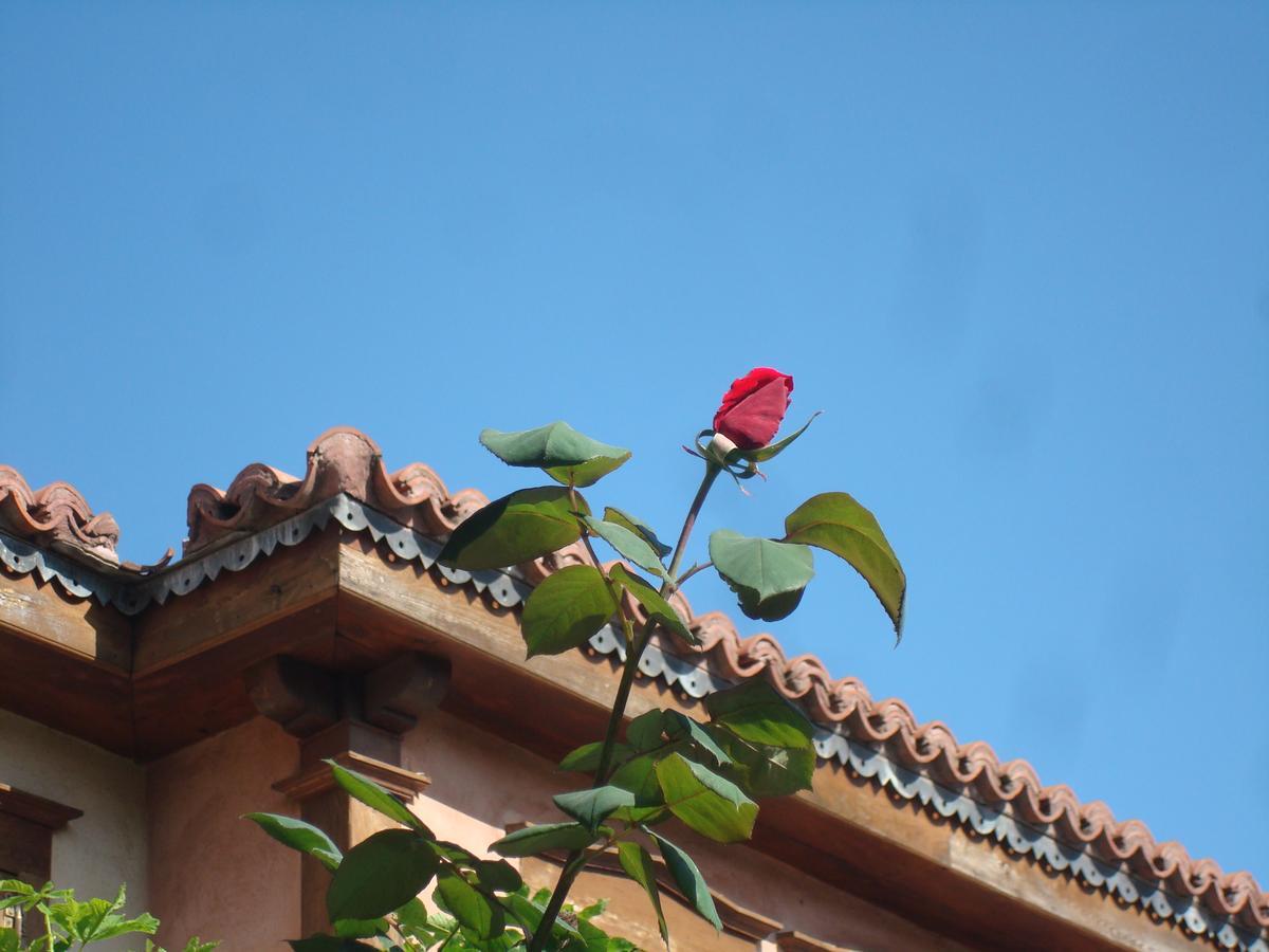 ארנאיה Oikia Alexandrou Traditional Inn מראה חיצוני תמונה